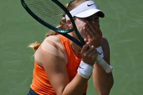 乐动官方网 - 莎拉波娃遭遇十五连败，西班牙队教练面临压力！